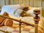 Bed Bed